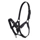 Cameo Foal Headcollar - Black