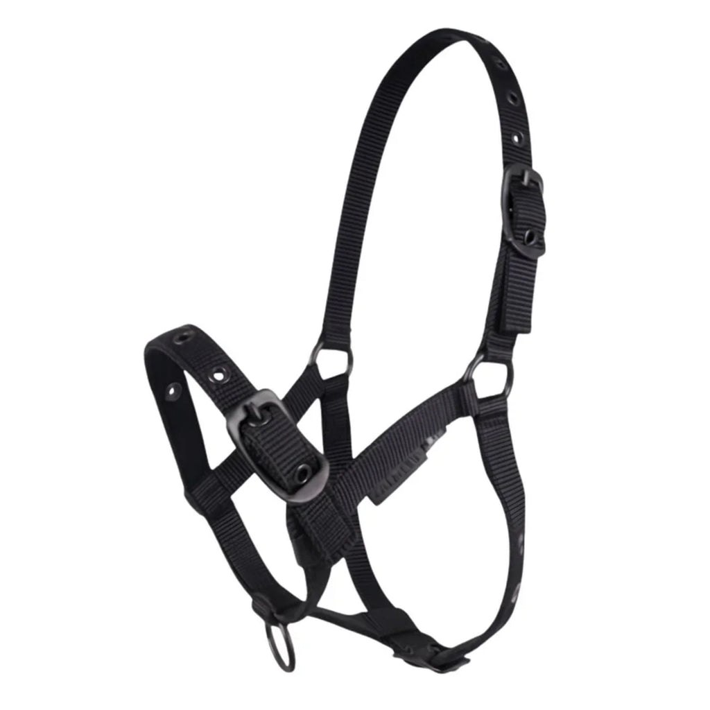 Cameo Foal Headcollar - Black