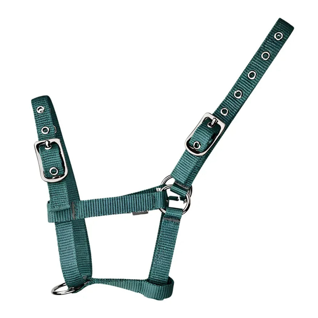 Cameo Foal Headcollar - Evergreen