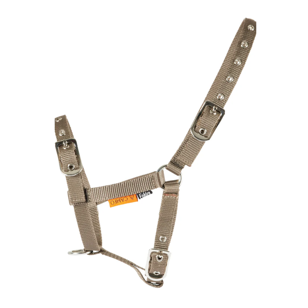 Cameo Foal Headcollar - Mocha