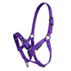 Cameo Foal Headcollar - Purple