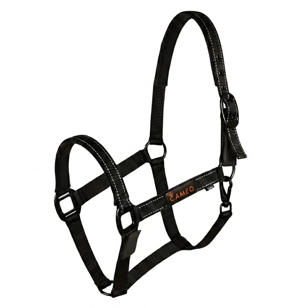 Cameo Fieldsafe Headcollar - Black