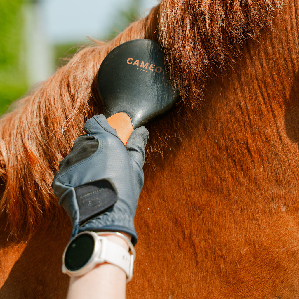 Cameo Mane and Tail Brush - Black/Orange