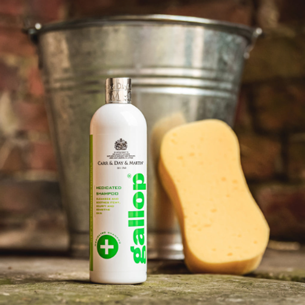 Gallop Medicated Shampoo - 250ml
