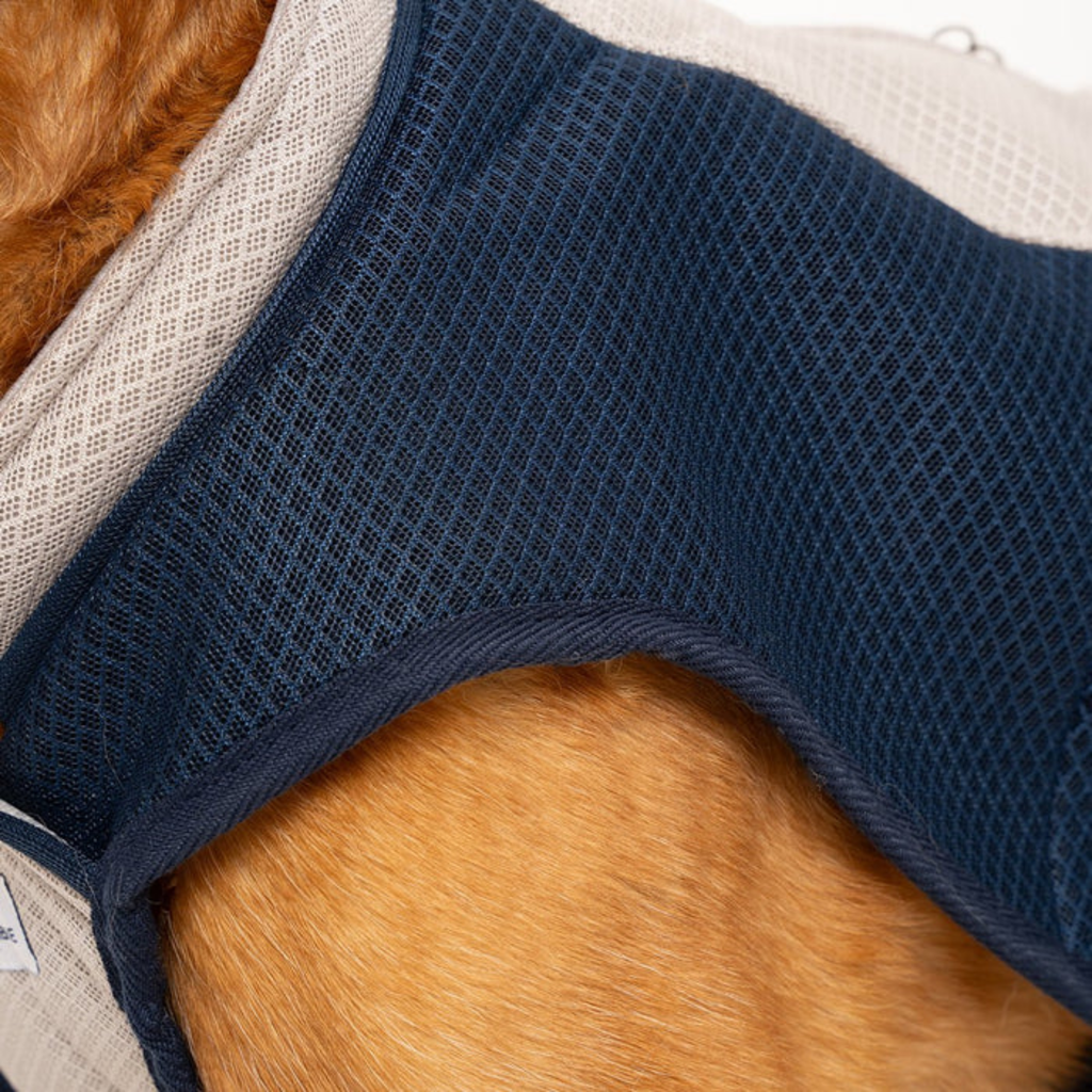 Ruff & Tumble Dog Cooling Coat - Blue