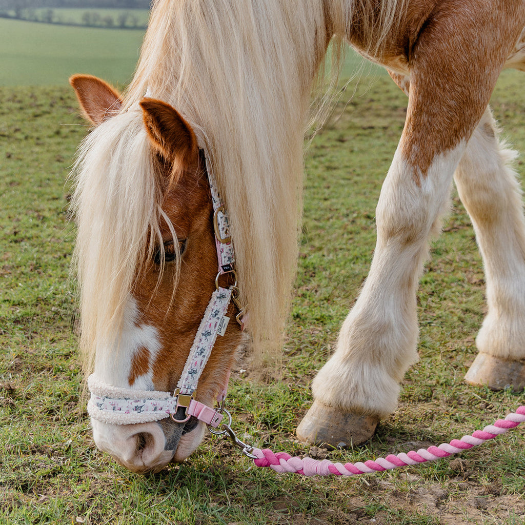 Cath Kidston Cowgirl Headcollar & Leadrope Set