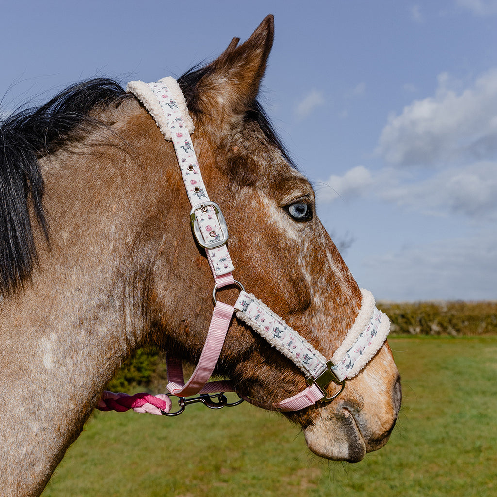 Cath Kidston Cowgirl Headcollar & Leadrope Set