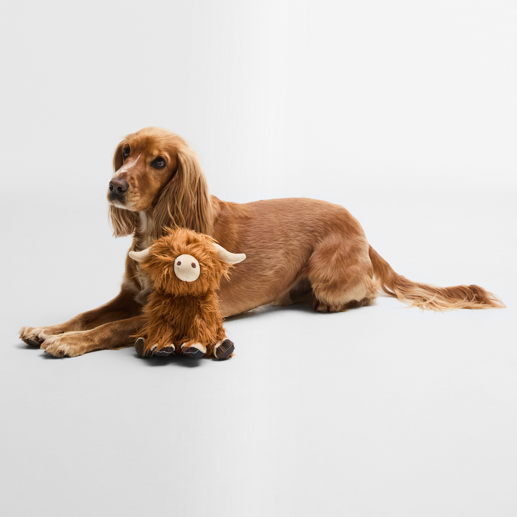 Barbour Highland Cow Dog Toy