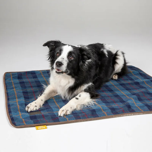 Digby and Fox Tweed Dog Blanket - Navy
