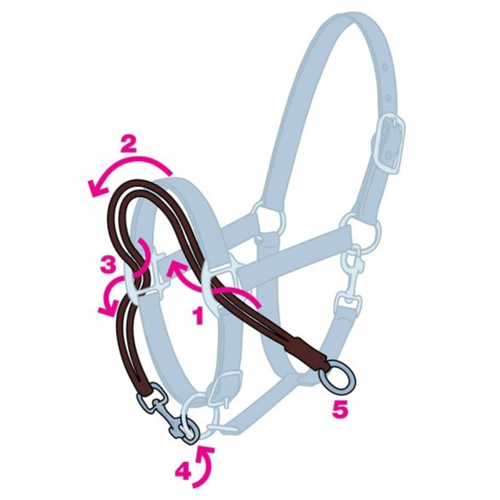KM Elite Ezyloader Headcollar Adaptor