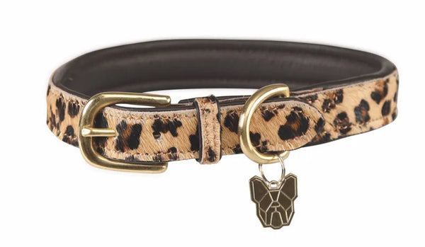 Digby and Fox Cow Hair Dog Collar - Leopard