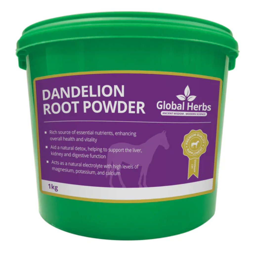 Global Herbs Dandelion Root Powder - 1kg