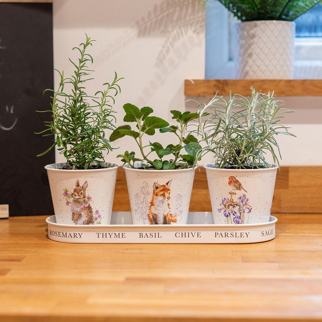 Wrendale Herb Pots with Tray - Woodland