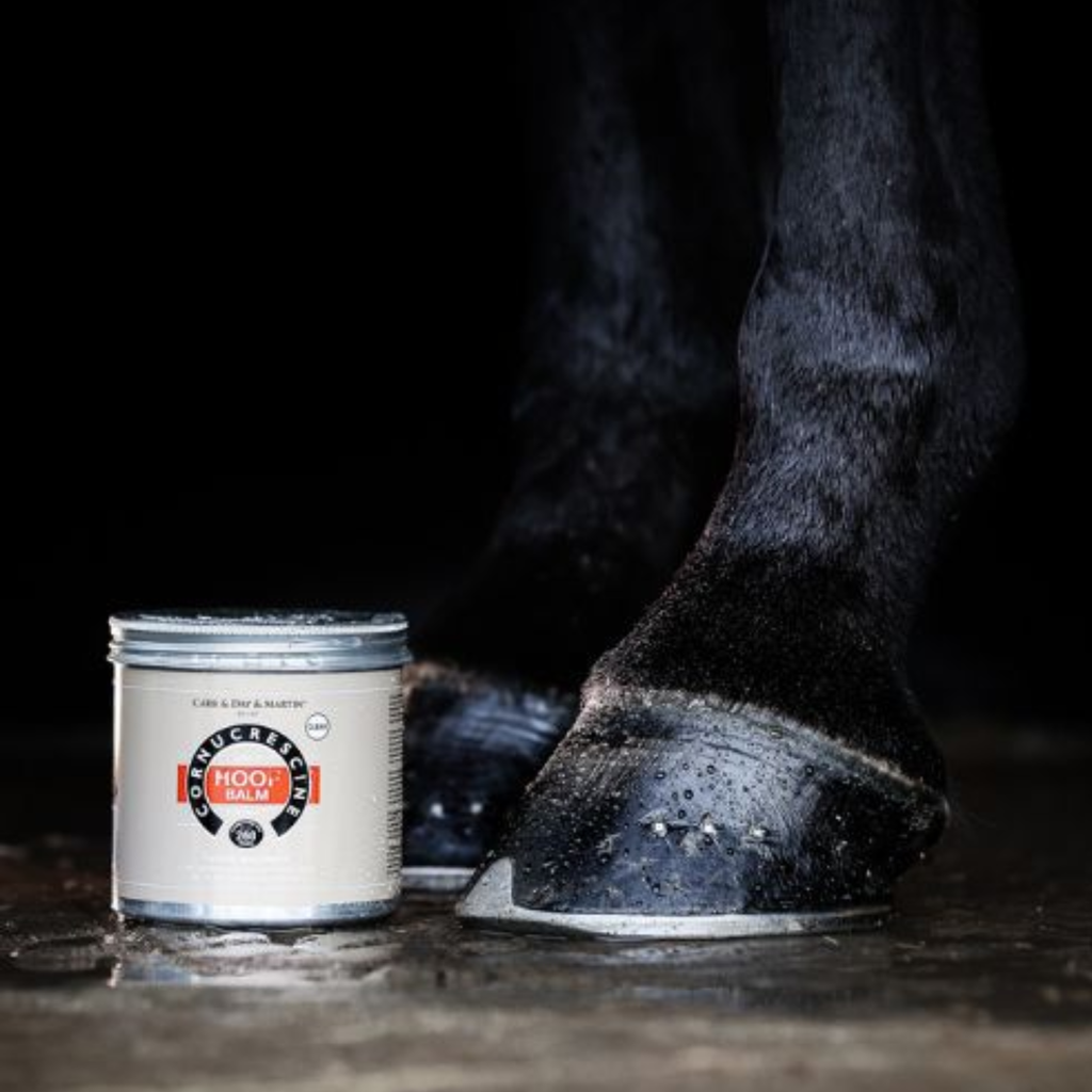 Carr Day Martin CORNUCRESCINE HOOF BALM CLEAR 500ml