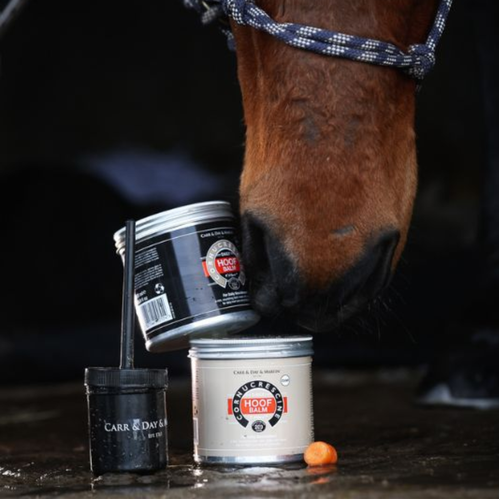 Carr Day Martin CORNUCRESCINE HOOF BALM CLEAR 500ml