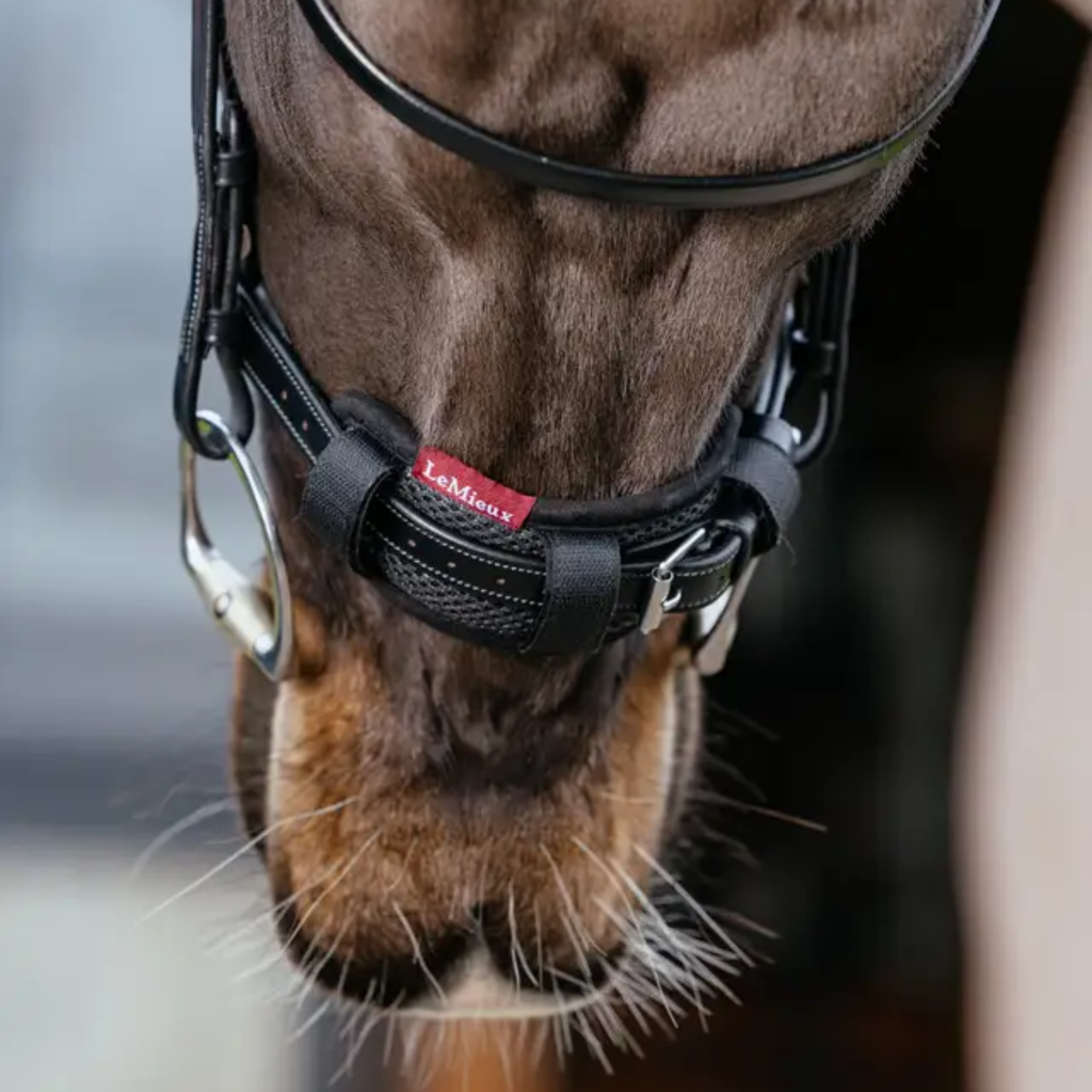 LeMieux Noseband Pad - Black