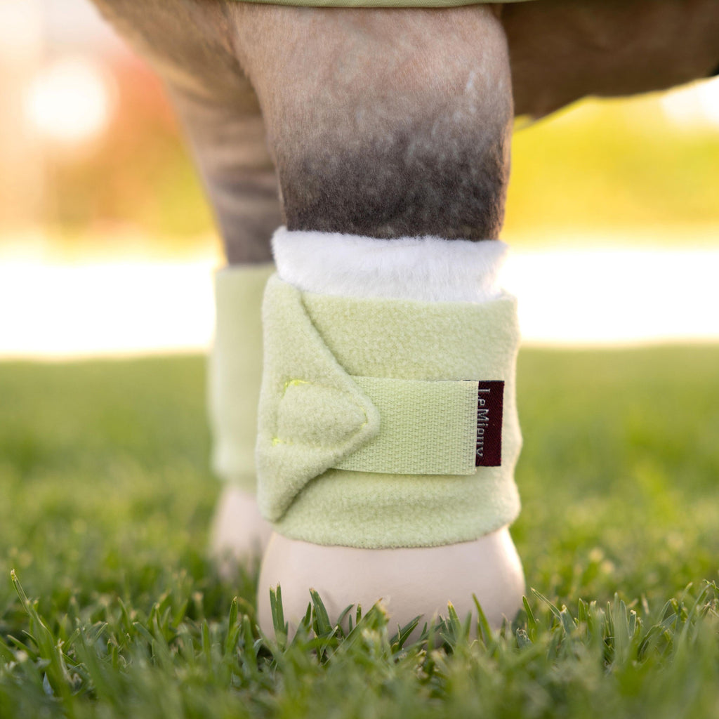 LeMieux Toy Pony Bandages - Macaron