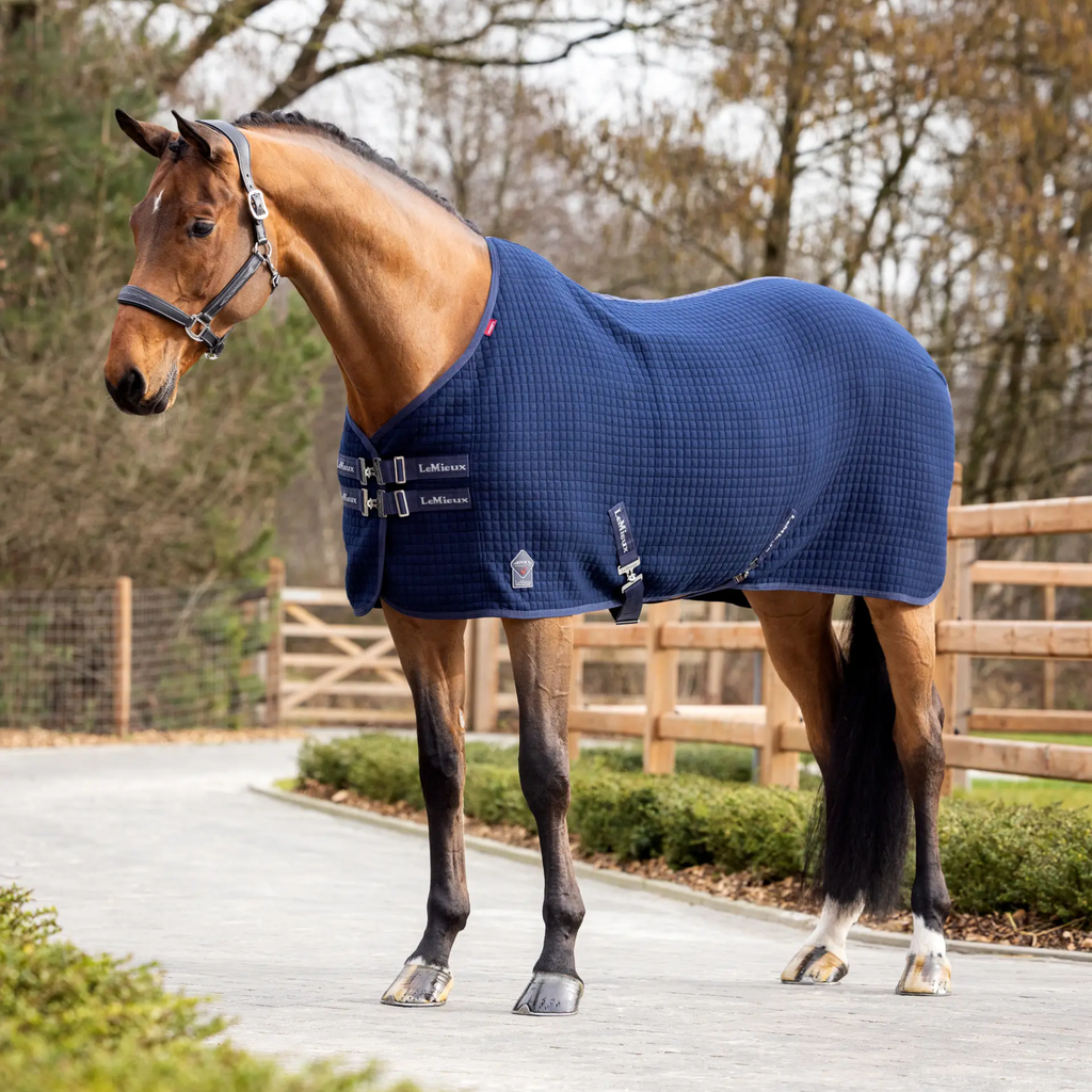 LeMieux Arika Clima-Tek Rug - Navy