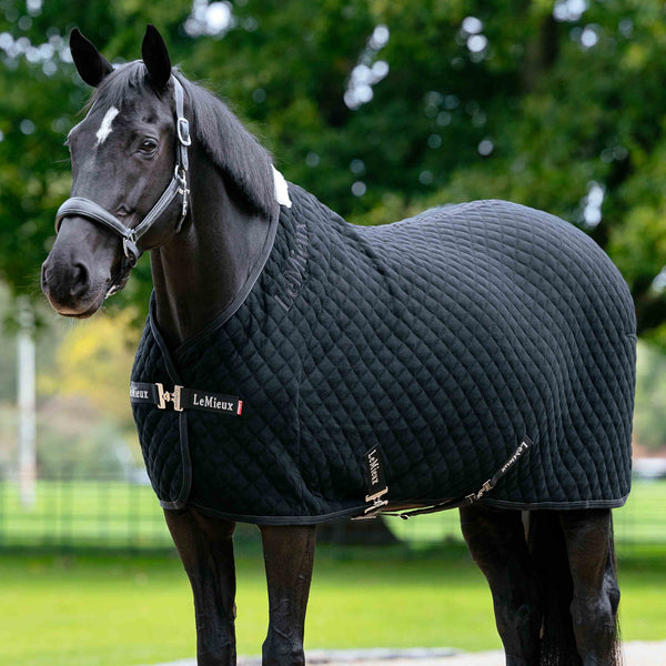 LeMieux Arika Clima-Tek Rug - Black