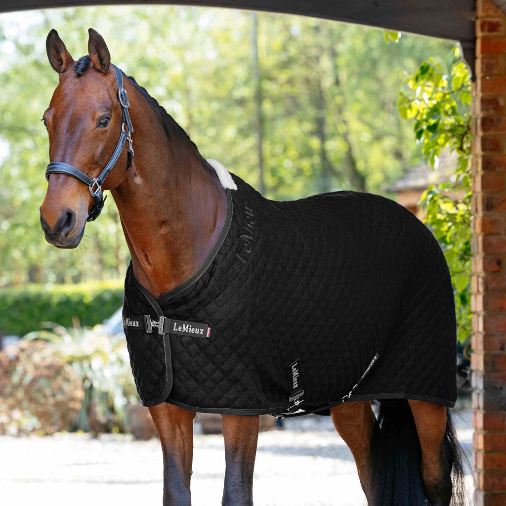 LeMieux Arika Clima-Tek Rug - Black