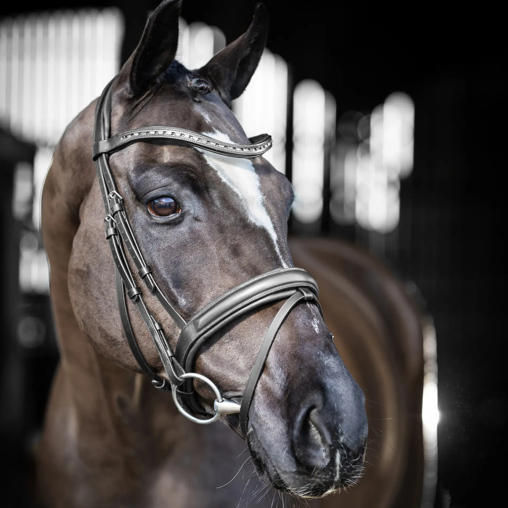 LeMieux Arika Dressage Bridle - Black/Silver