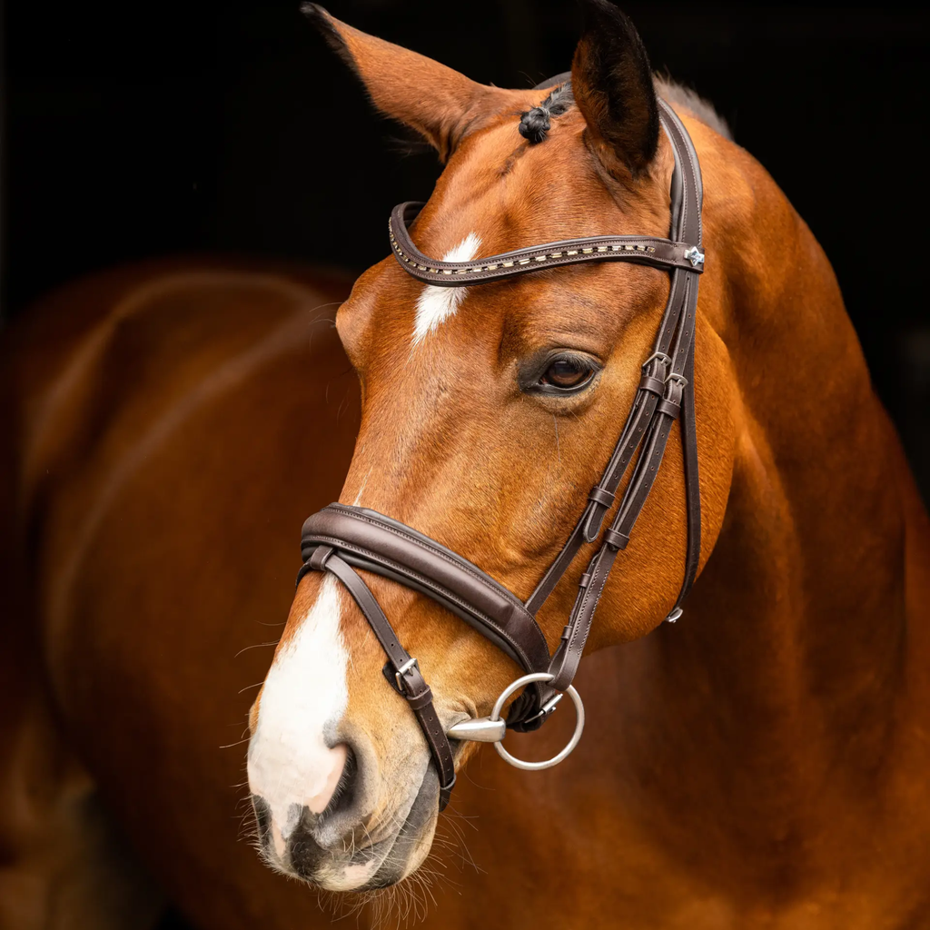 LeMieux Arika Dressage Bridle - Brown/Silver