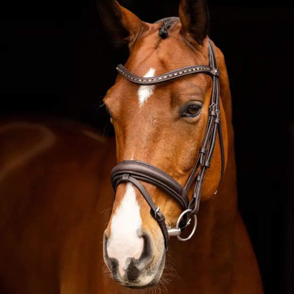 LeMieux Arika Dressage Bridle - Brown/Silver