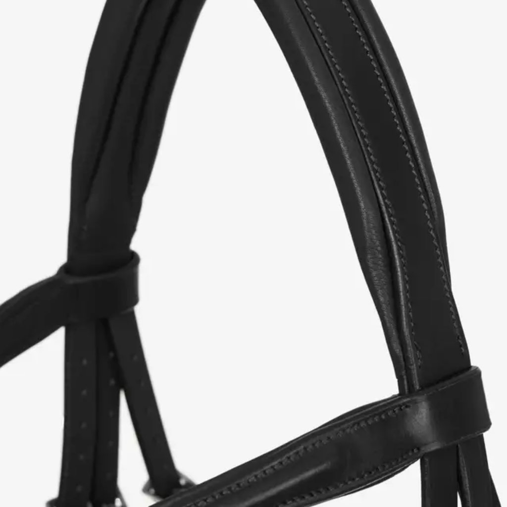 LeMieux Arika Flash Bridle - Black/Silver
