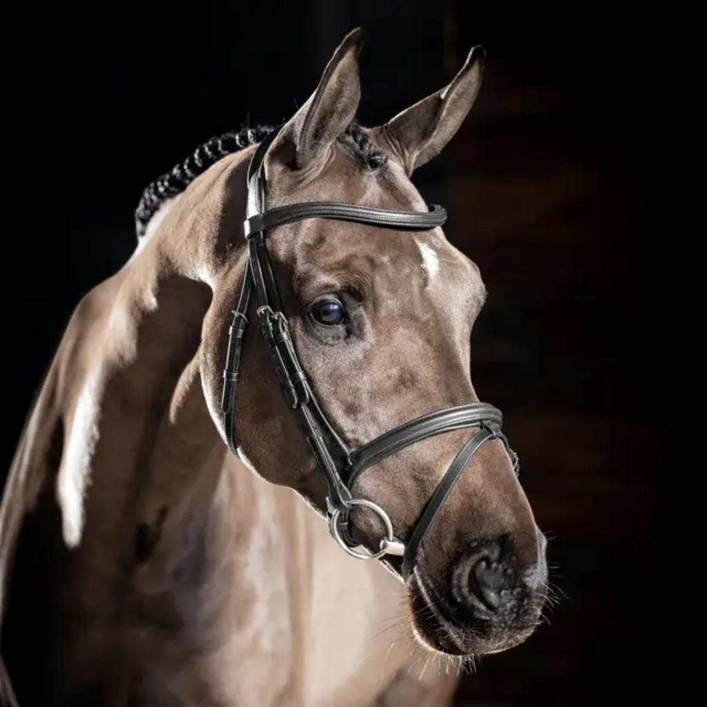 LeMieux Arika Flash Bridle - Black/Silver