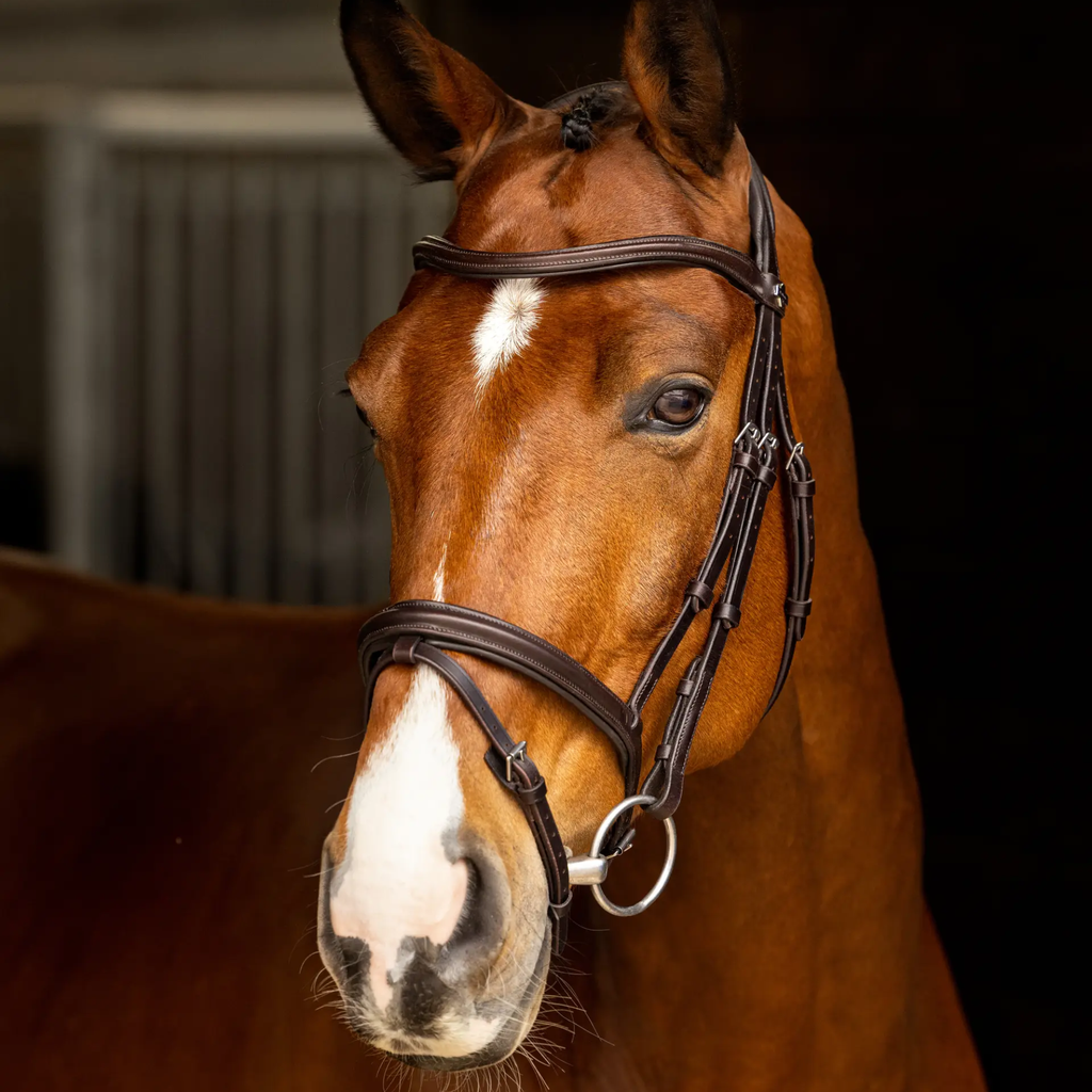 LeMieux Arika Flash Bridle - Brown/Silver
