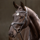 LeMieux Arika Grackle Bridle - Black/Silver