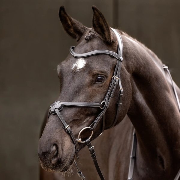 LeMieux Arika Grackle Bridle - Black/Silver