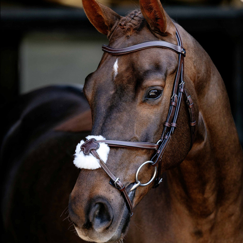 LeMieux Arika Grackle Bridle - Havana/Silver