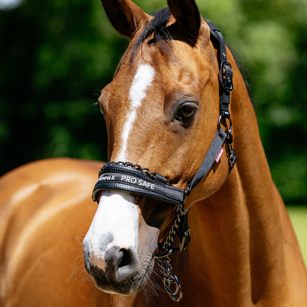 LeMieux ProSafe Headcollar - Black
