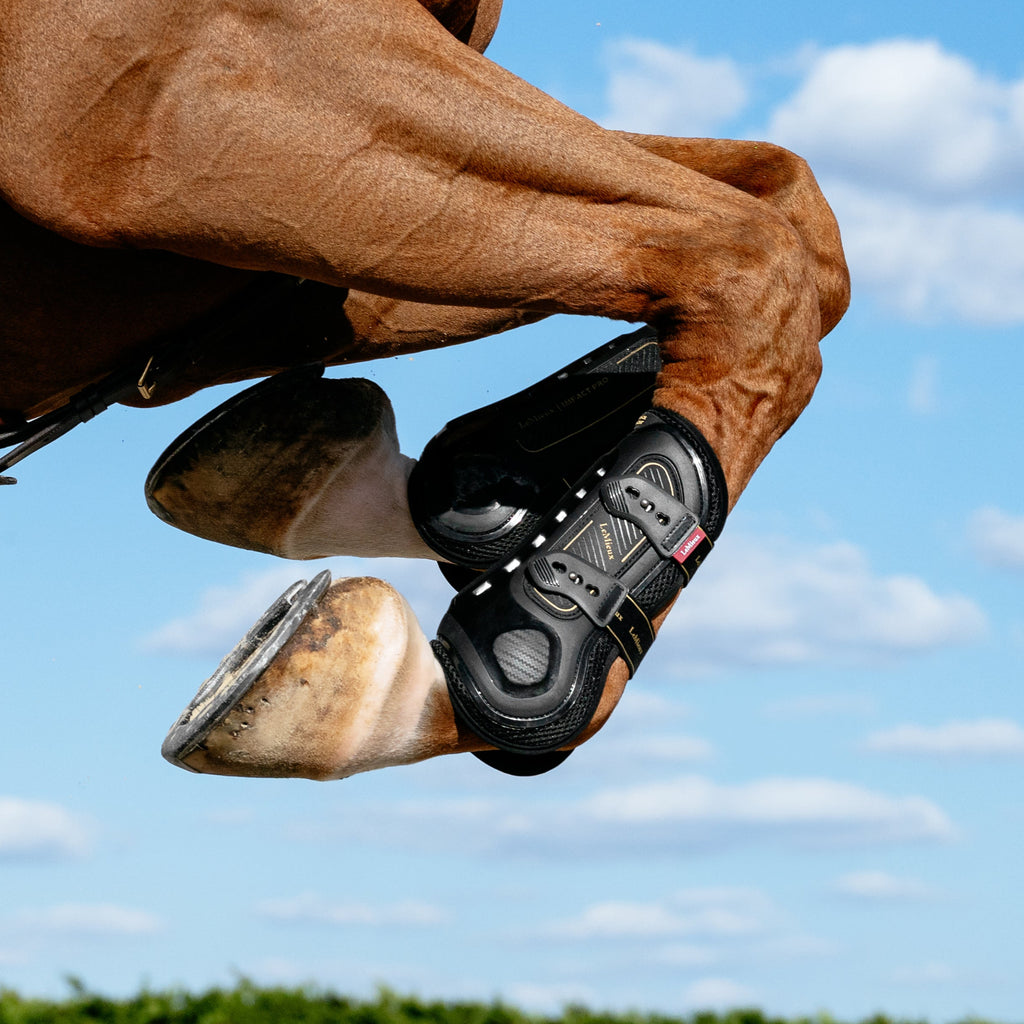 LeMieux Impact Pro Tendon Boot - Black