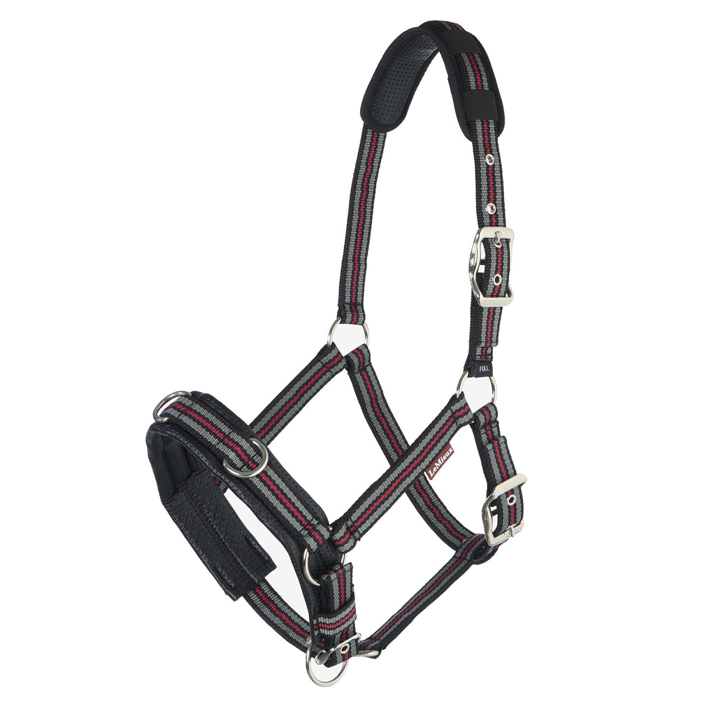 LeMieux Cavesson Lunge Headcollar - Black