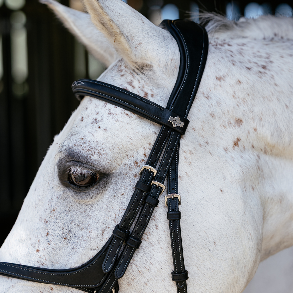 LeMieux Kudos Grackle Work Bridle - Black