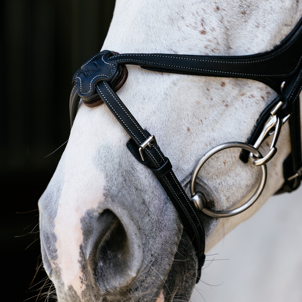 LeMieux Kudos Grackle Work Bridle - Black