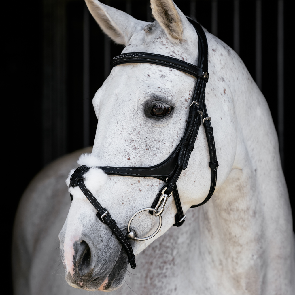 LeMieux Kudos Grackle Work Bridle - Black