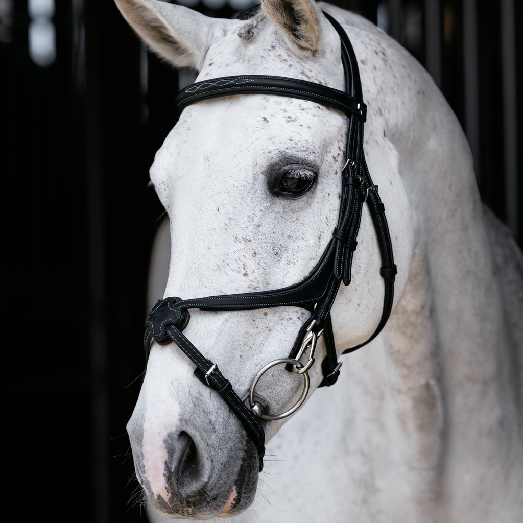 LeMieux Kudos Grackle Work Bridle - Black