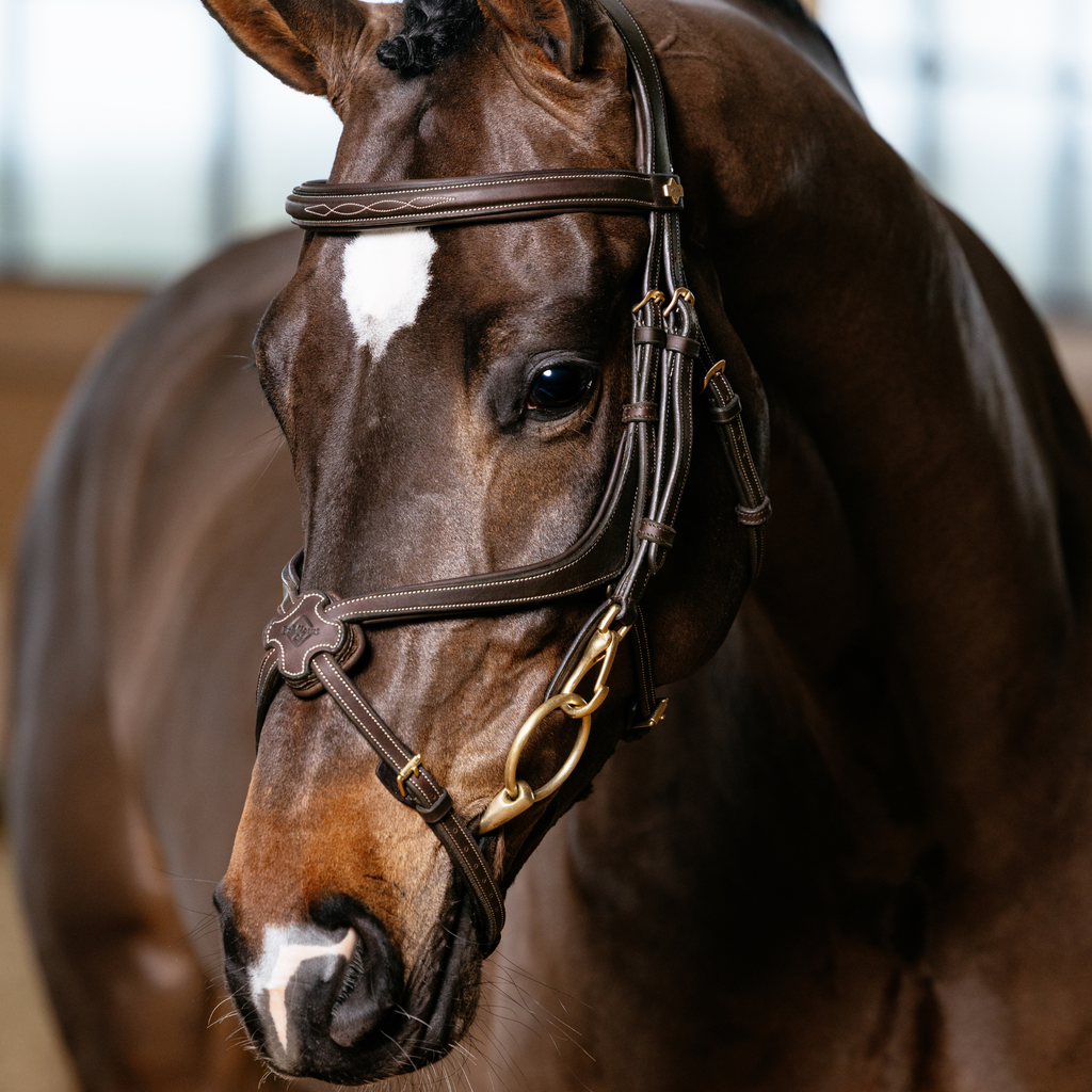 LeMieux Kudos Grackle Work Bridle - Brown