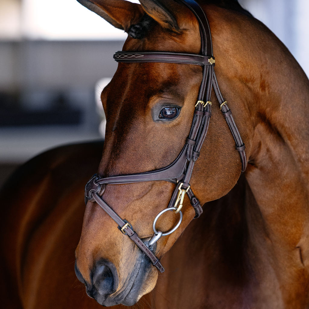 LeMieux Kudos Grackle Work Bridle - Brown