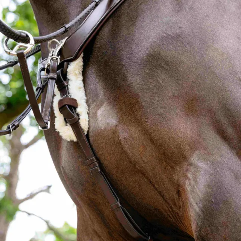 LeMieux Kudos 5 Point Bridge Breastplate - Havana
