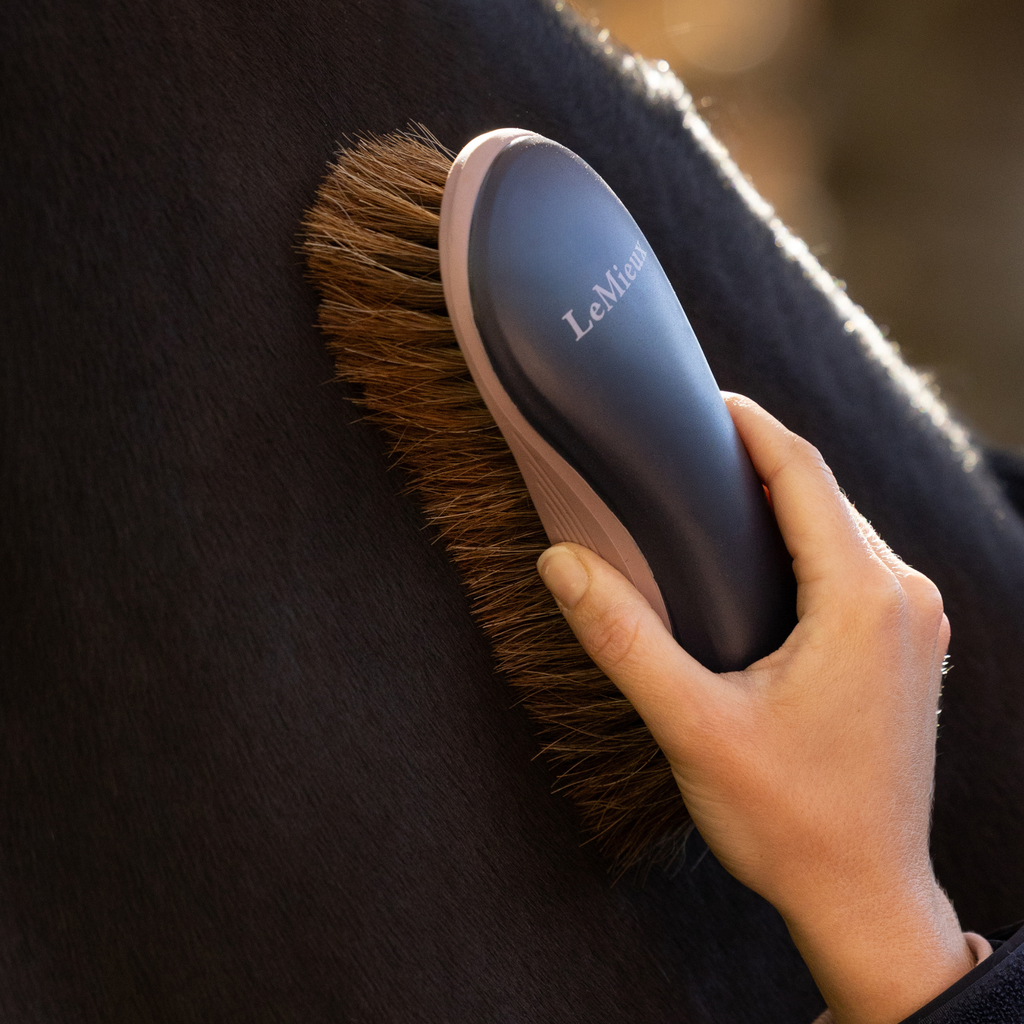 LeMieux Dandy Brush - Navy