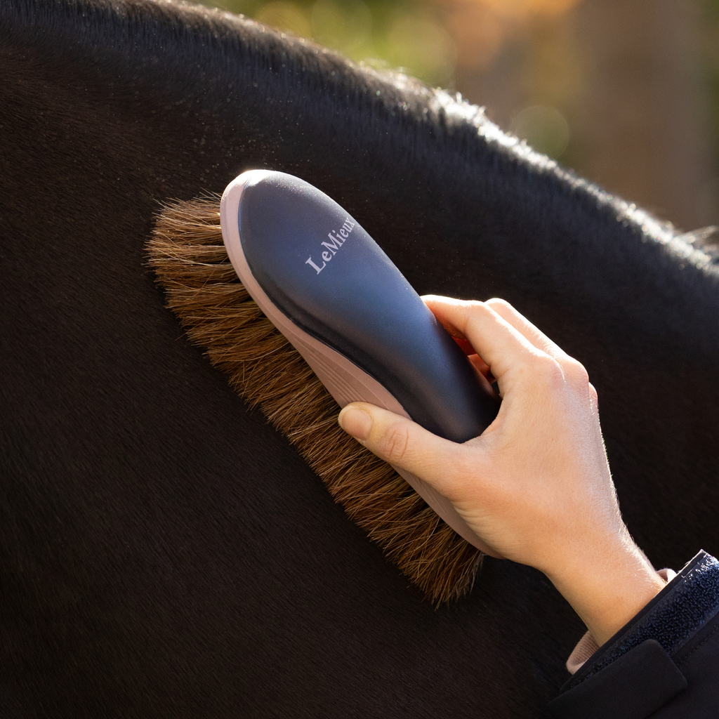 LeMieux Dandy Brush - Navy