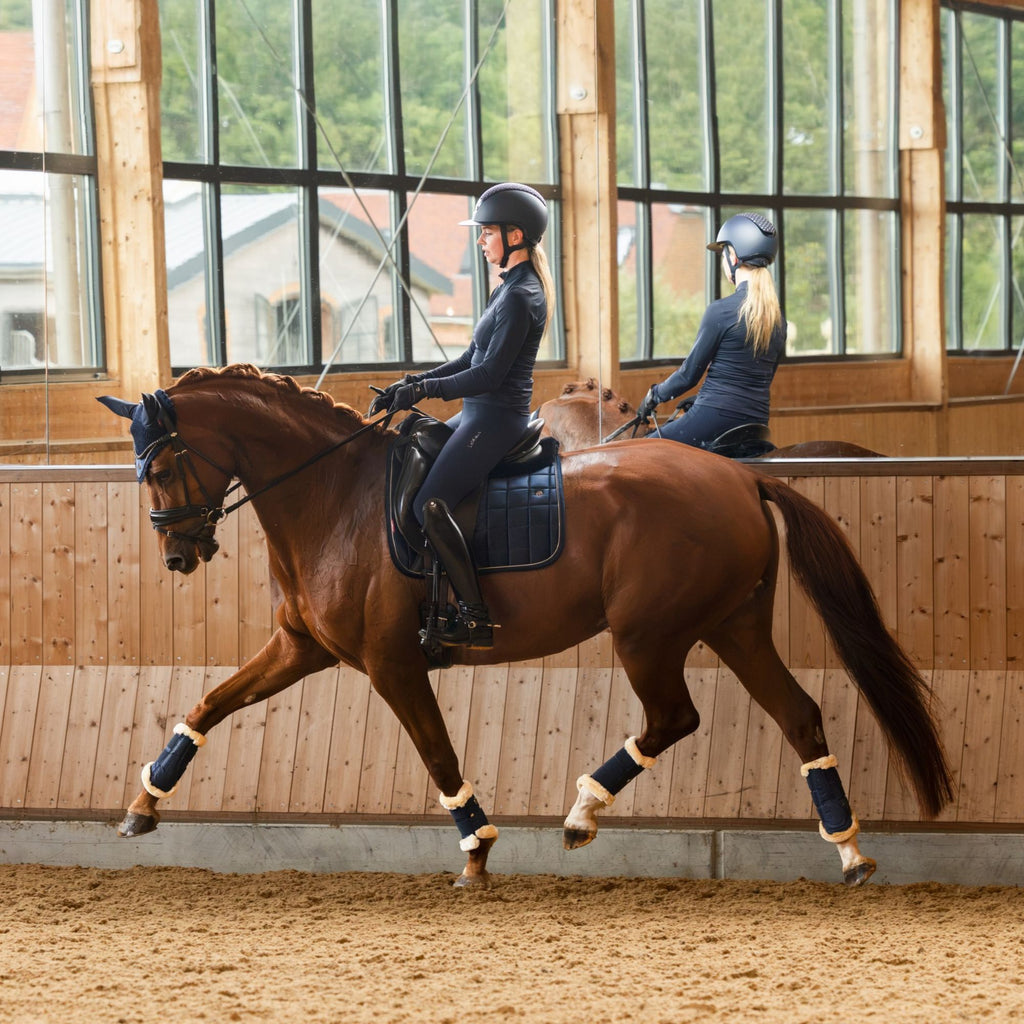 LeMieux Lustre Dressage Square - Sapphire