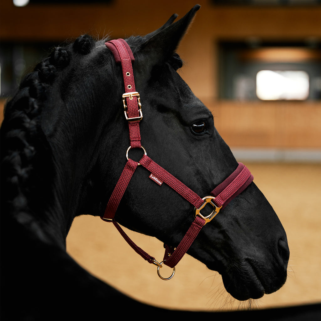 LeMieux Lustre Headcollar - Garnet