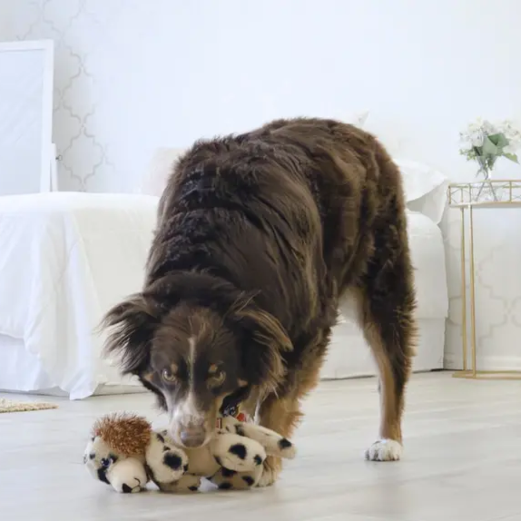 KONG Comfort Pups Spot - Medium