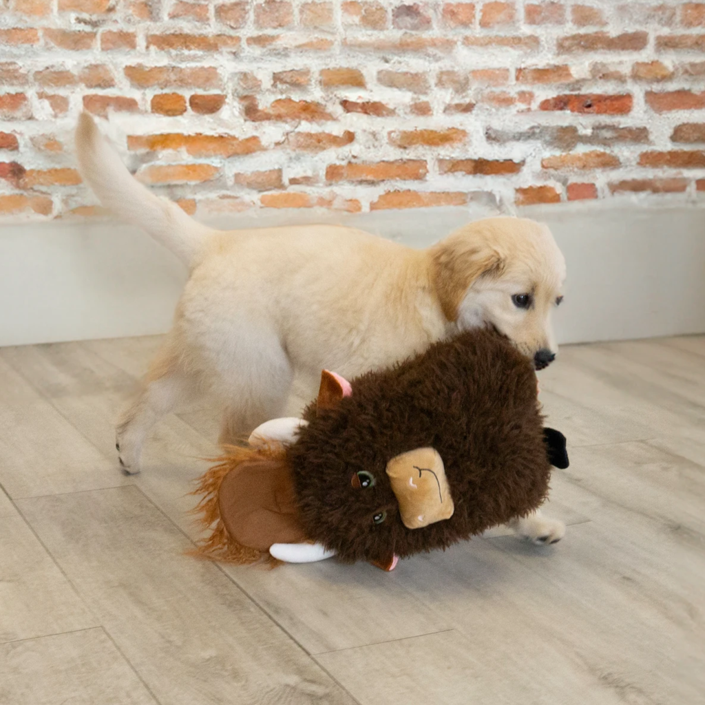 Kong Comfort Jumbo Highland Cow