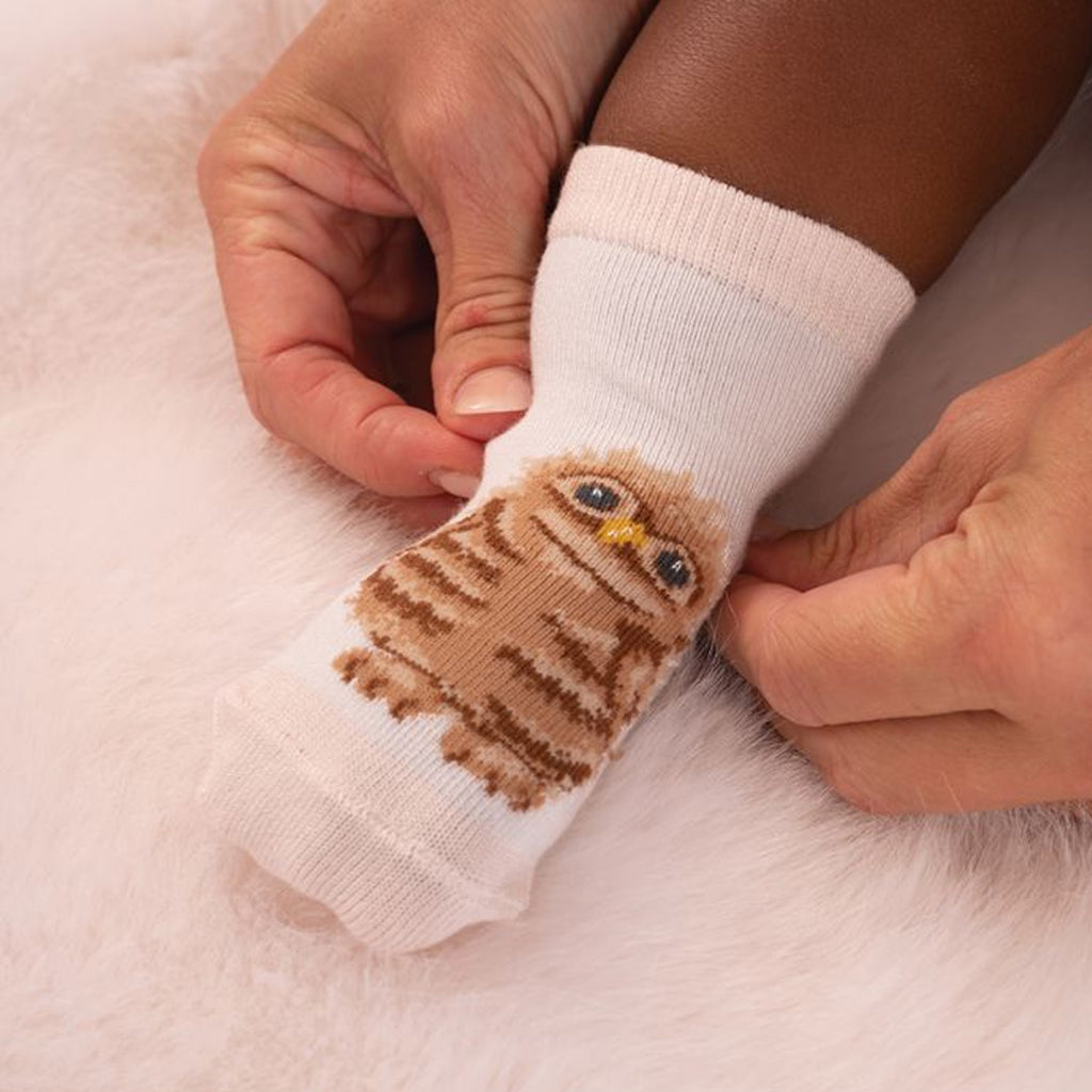 Wrendale Little Forest Baby Socks Set